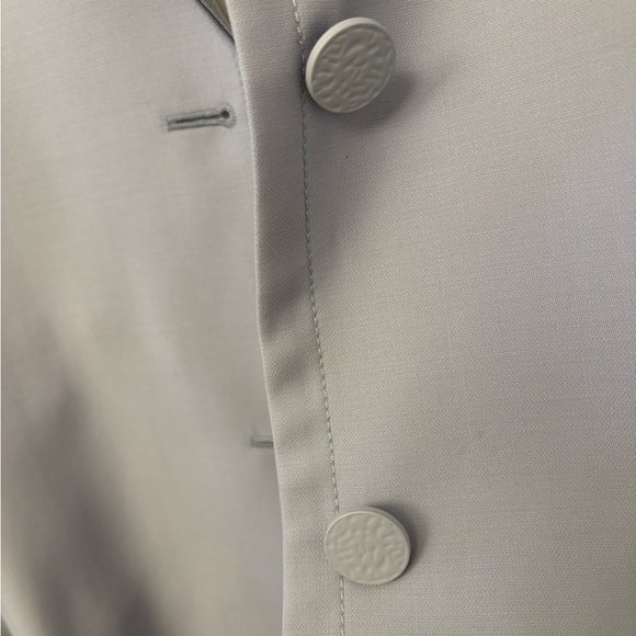 Aritzia Babaton Oversized Blazer - Picture 2 of 8